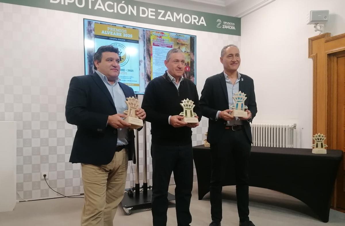 Un momento de la presentación de los "Premios Alveare" en la Diputación.