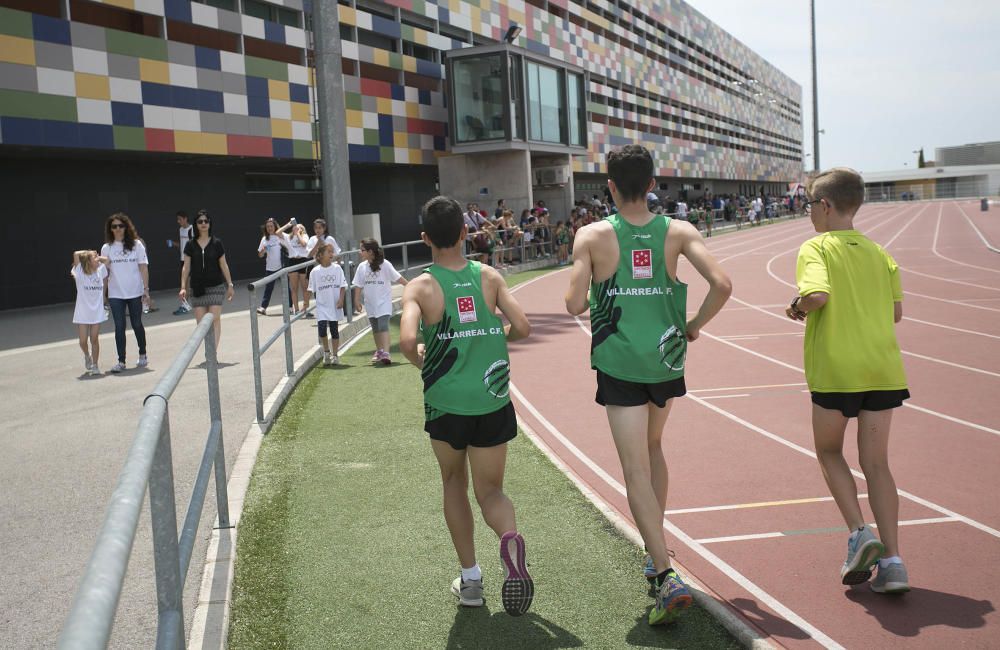 Castelló celebra el Día Olímpico