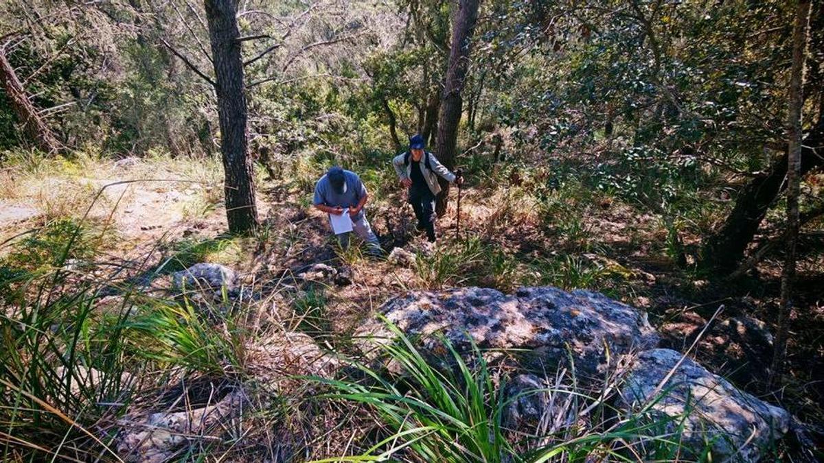 Joan Maiol y Antònia Galiana, dibujando la planta del yacimiento talayótico hallado en Esporles.