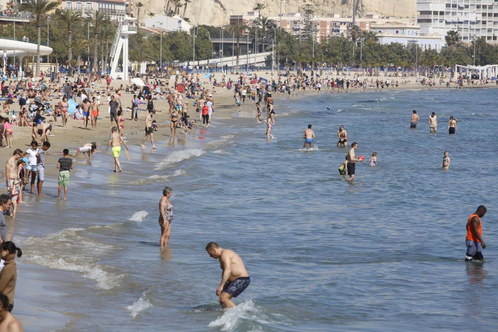 Numerosos bañistas llenan el Postiguet para disfrutar del buen tiempo en Alicante