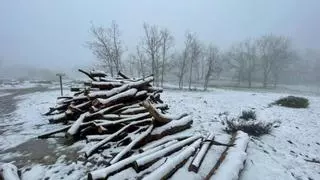 Jorge Rey prevé sorpresa este fin de semana: "Llegan nevadas intensas a..."