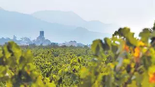 El valor del paisatge vinícola empordanès