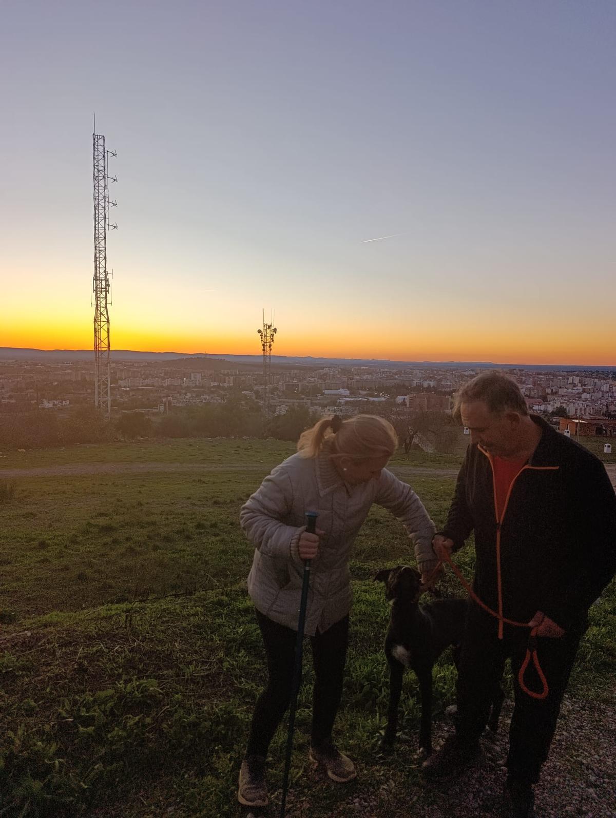 Galería | Así es Boss, el perro perdido en el entorno de Aliseda Galería | Así es Boss, el perro perdido en el entorno de Aliseda