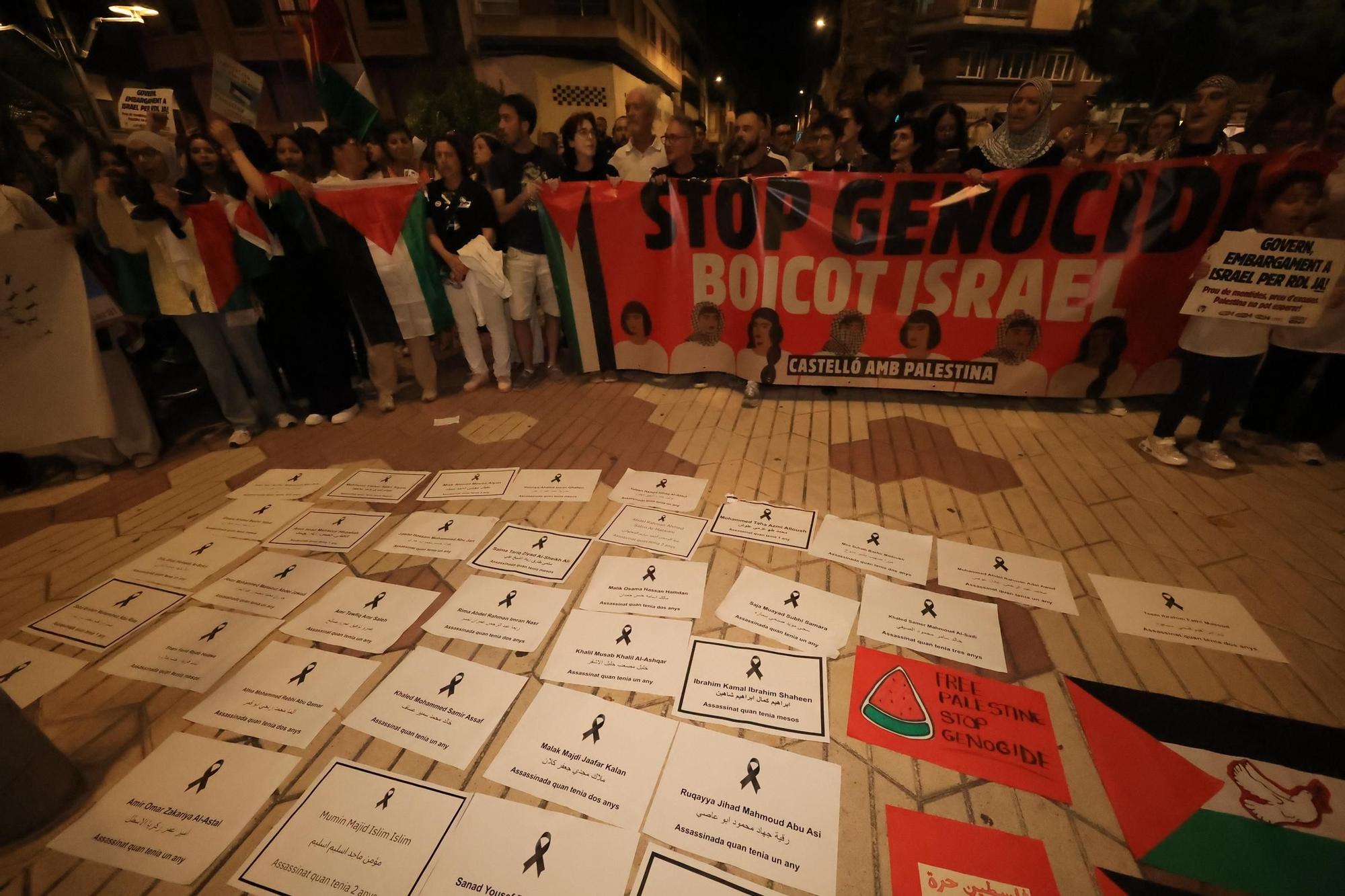 Galería de imágenes: Castellón sale a la calle en defensa de Palestina
