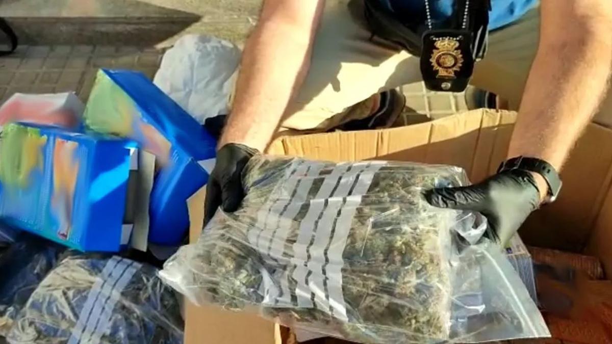Un investigador de la Policía Nacional descubre en un paquete una sustancia vegetal "sospechosa".