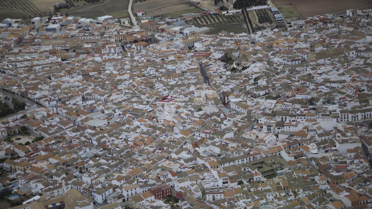 La Junta considera que la infección detectada en Castro del Río correponde a un caso aislado.