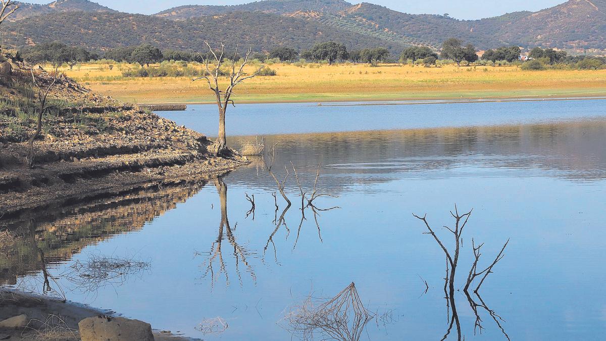 Sequía | Los embalses de la provincia se encuentran al 14% de su capacidad, cuando deberían estar a la mitad en estas fechas.
