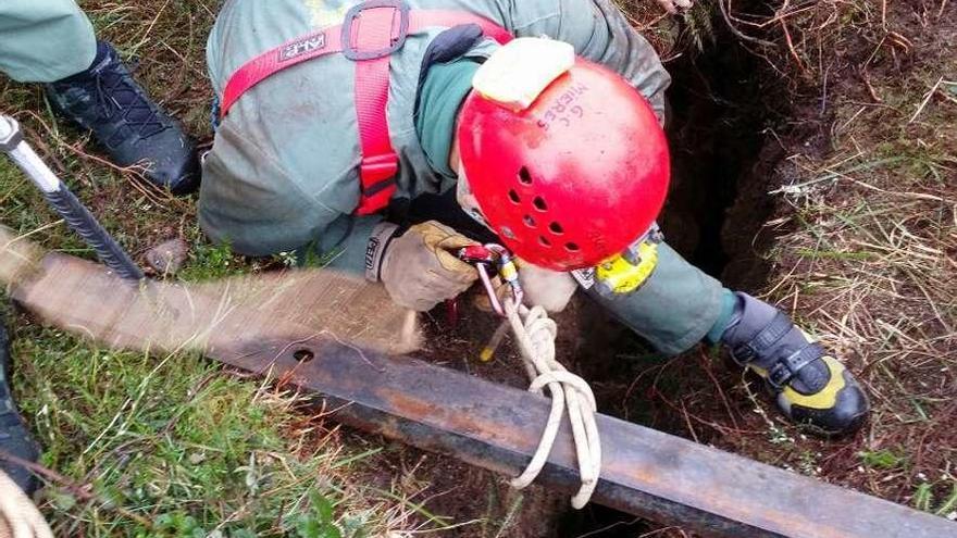 Labores de rescate del perro que cayó en una chimenea en las inmediaciones del Llosorio.