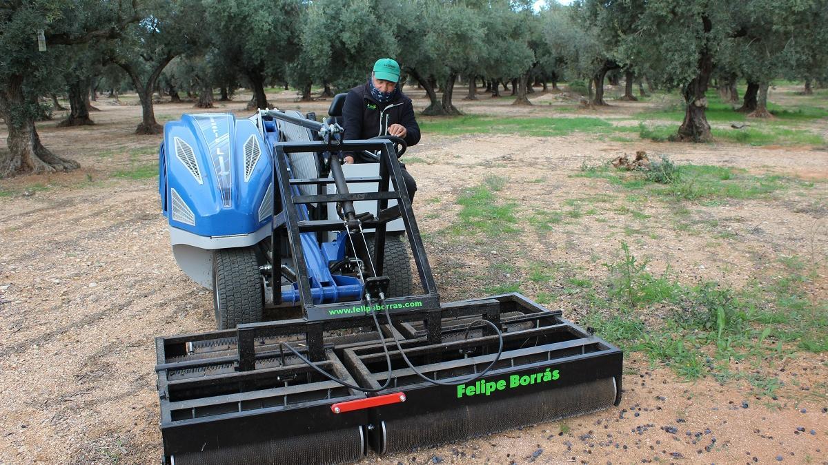 Enric Simó, responsable del sector olivarero en la Unió Llauradora