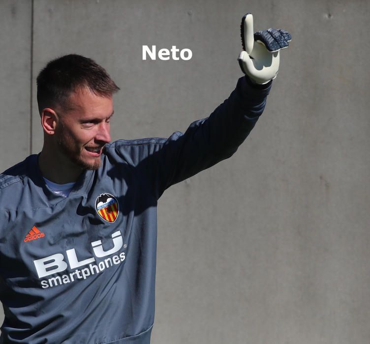 Neto