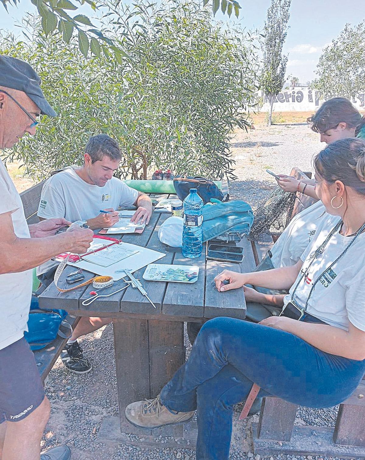 Els voluntaris participants en el projecte van catalogar els exemplars.