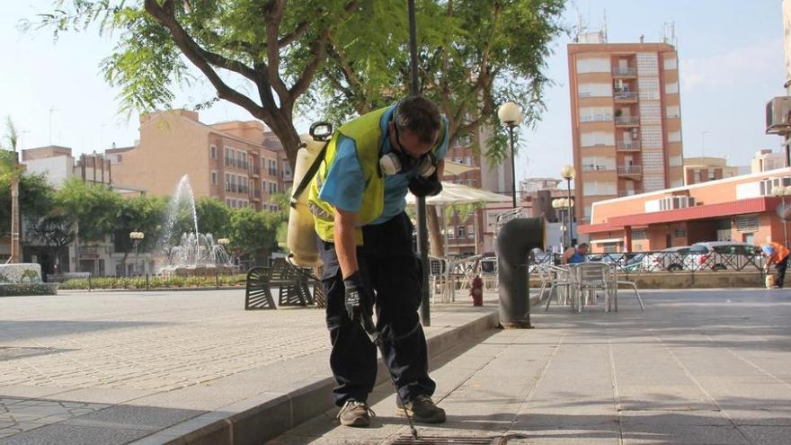 Ayudas de 14.000 euros para luchar contra el mosquito tigre en Onda