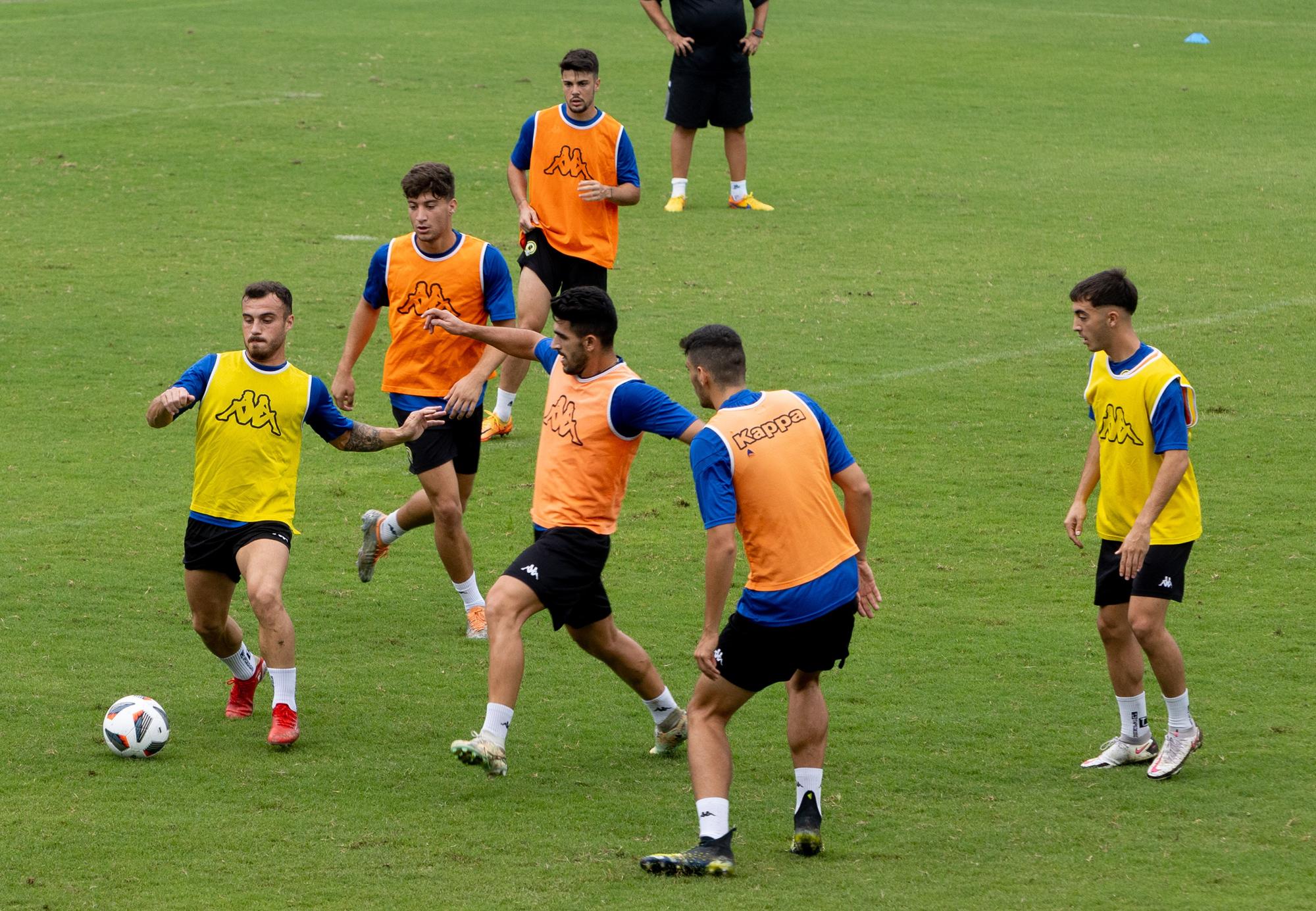 El Hércules entrena en el Rico Pérez