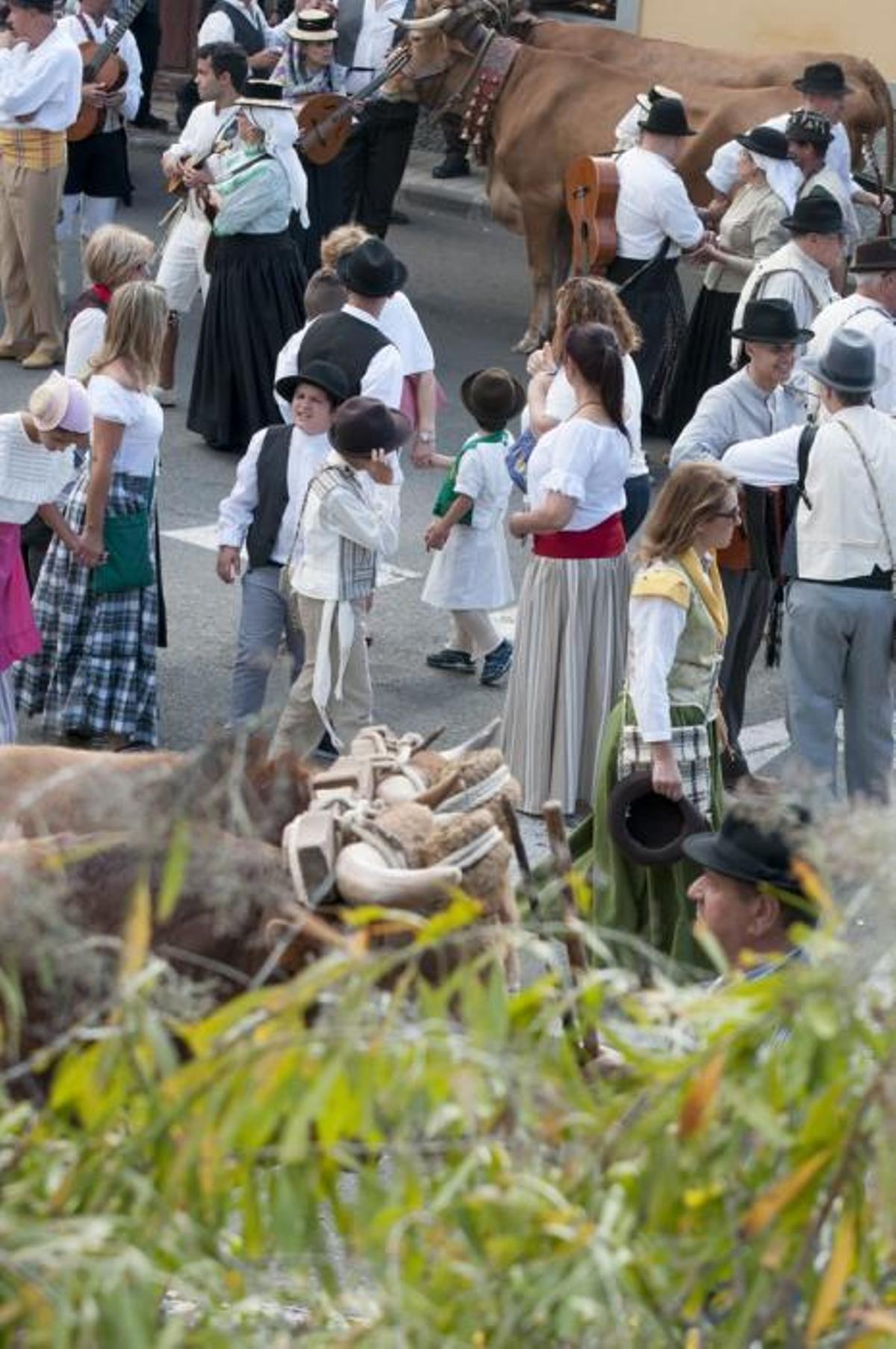 18/06/2016 ARUCAS . Romeria de ARUCAS. Foto: SABRINA CEBALLOS