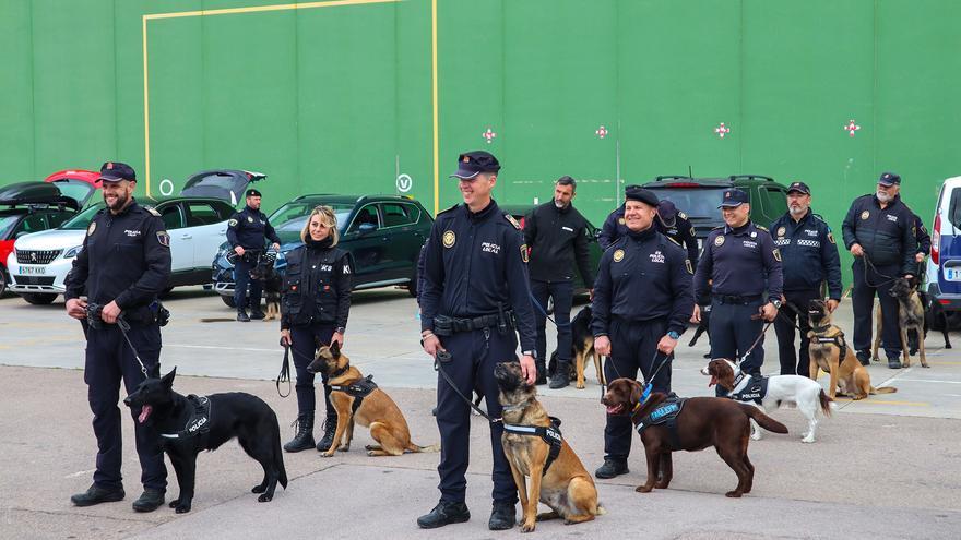 Los mejores perros antidroga de España se dan cita en Castellón