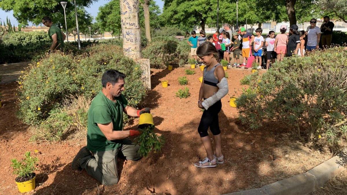 Una niña observa la plantación de una planta, ayer en el parque. | AE