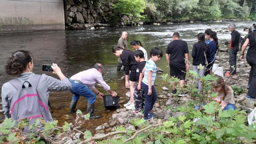 Una plaga de este pez invasor merma la presencia de trucha autóctona en Ribera de Arriba: &quot;Es un gran problema&quot;