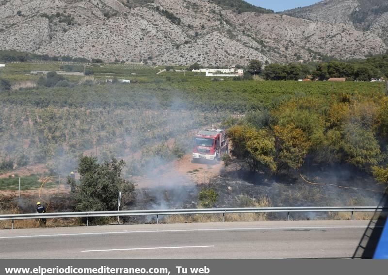 Romeria de les Canyes a la Magdalena