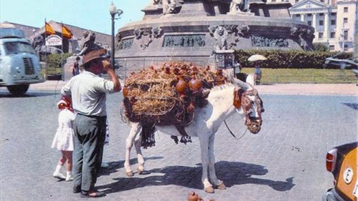 Un borrico cargado con objetos de cerámica en la barcelonesa plaza de Colón, en el verano de 1963.