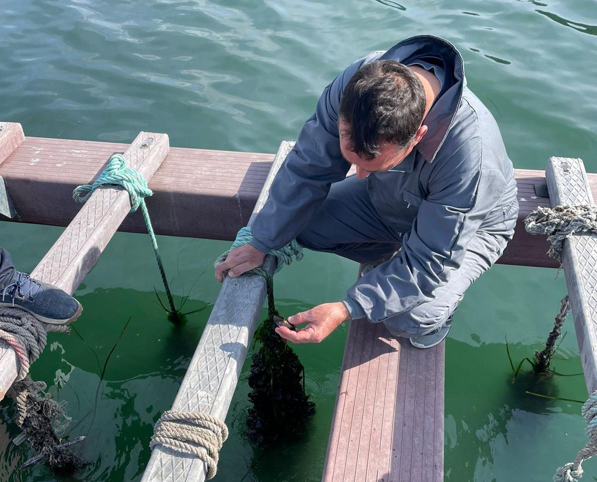 Un operario en la batea