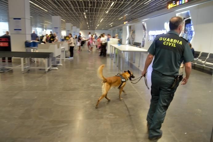 REPORTAJE UNIDAD CANINA AEROPUETO DE GRAN CANARIA