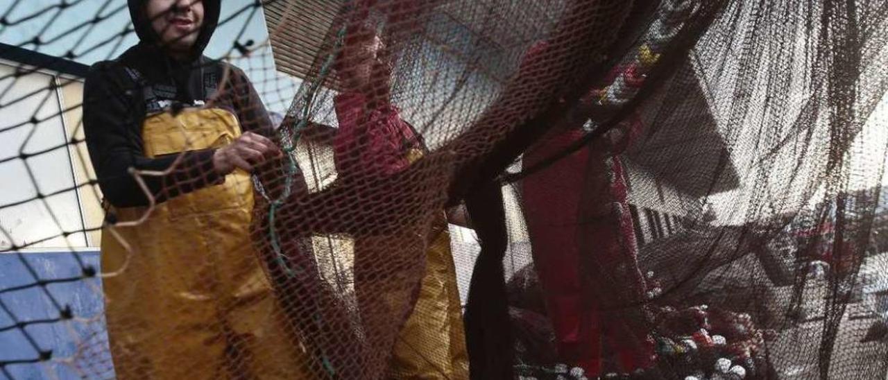 La flota de cerco de Vigo, preparándose para salir, ayer, del puerto de Vigo. // Adrián Irago