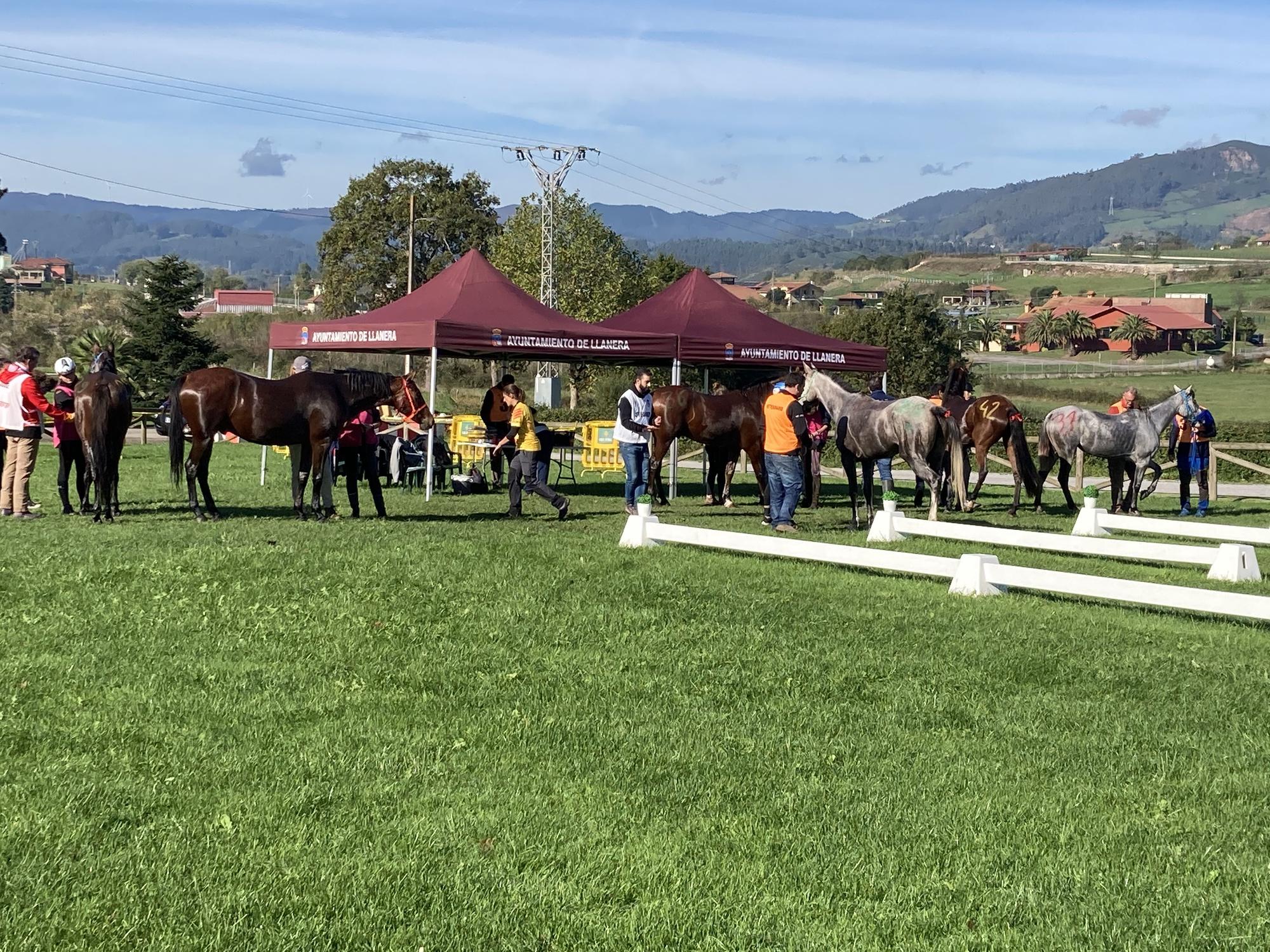 Llanera se llena de caballos con el campeonato de España de Raid Interautonomías