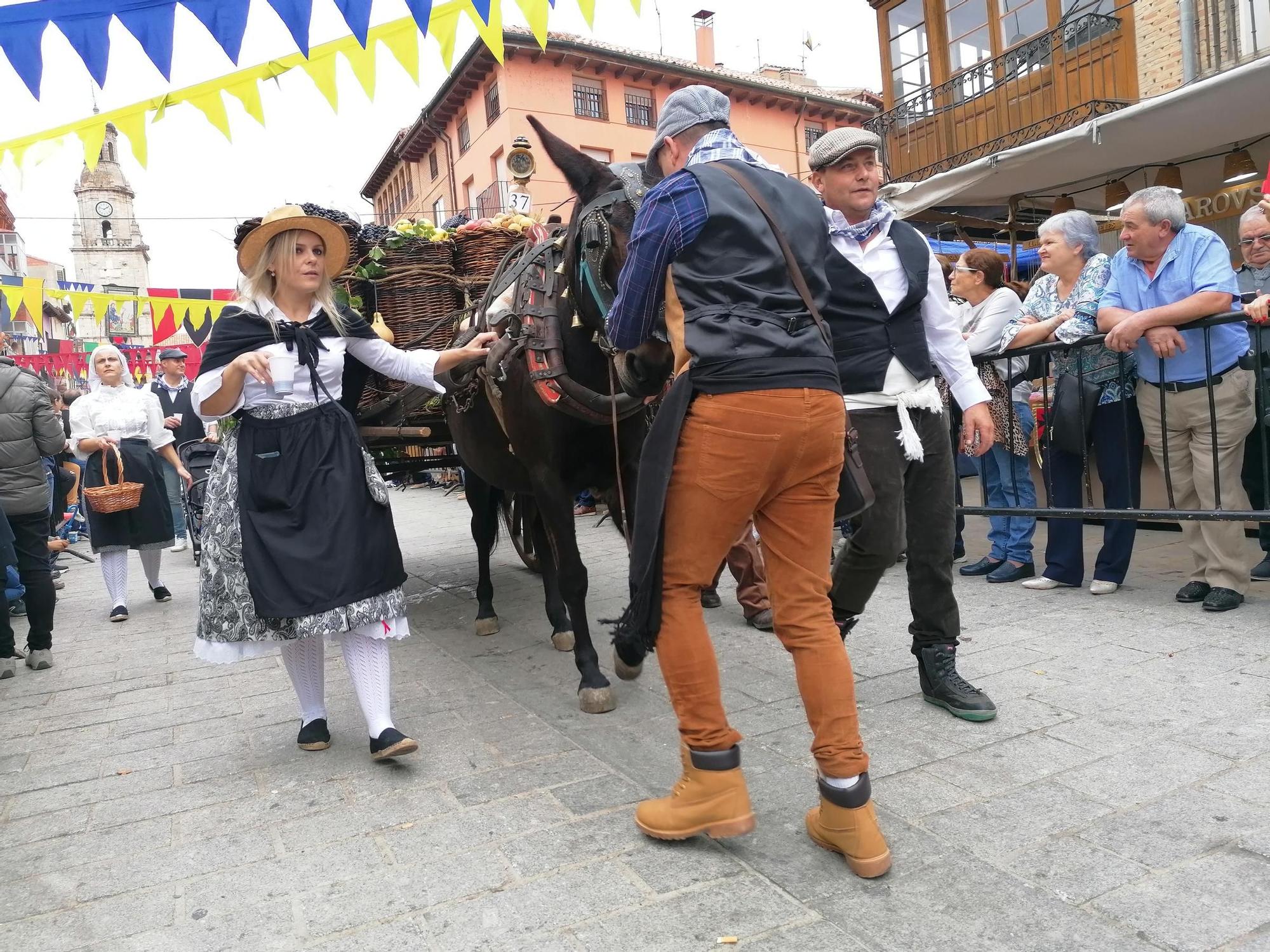 GALERÍA | Toro recrea la vendimia tradicional en el desfile de carros