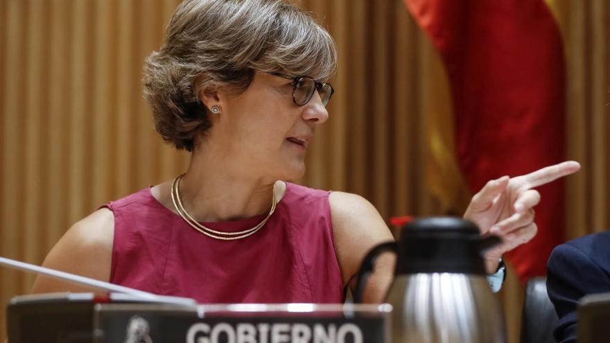 Isabel García Tejerina comparece en el Congreso ayer.