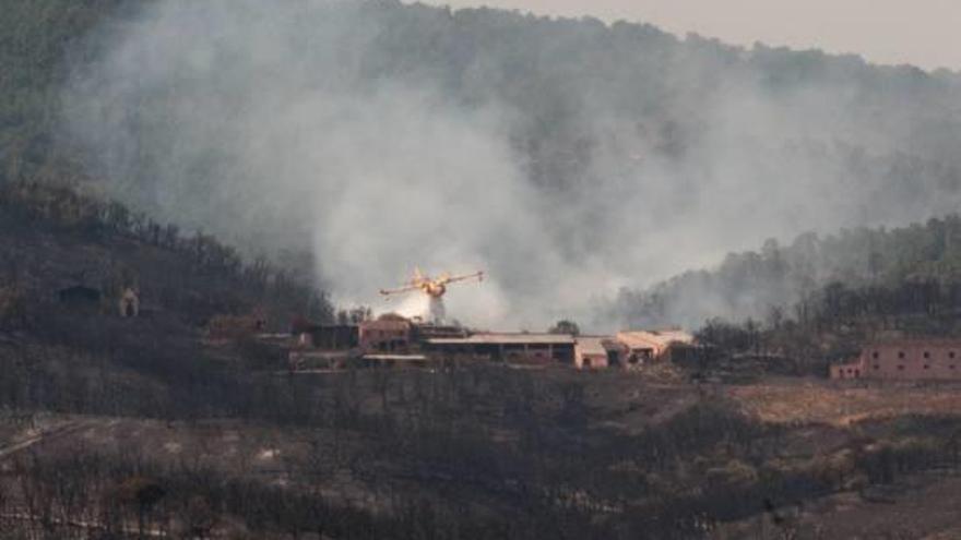 Un mitjà aeri dels Bombers, treballant a la zona afectada per l&#039;incendi del 2012 a la Jonquera.