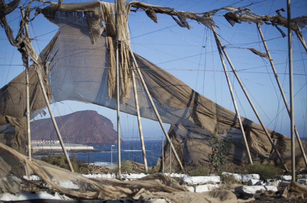 Fotos de invernaderos abandonados en el Sur de ...