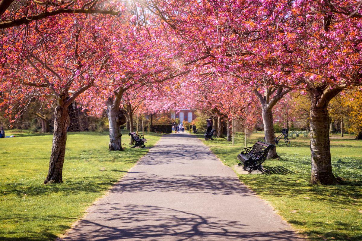 Londres (Reino Unido)