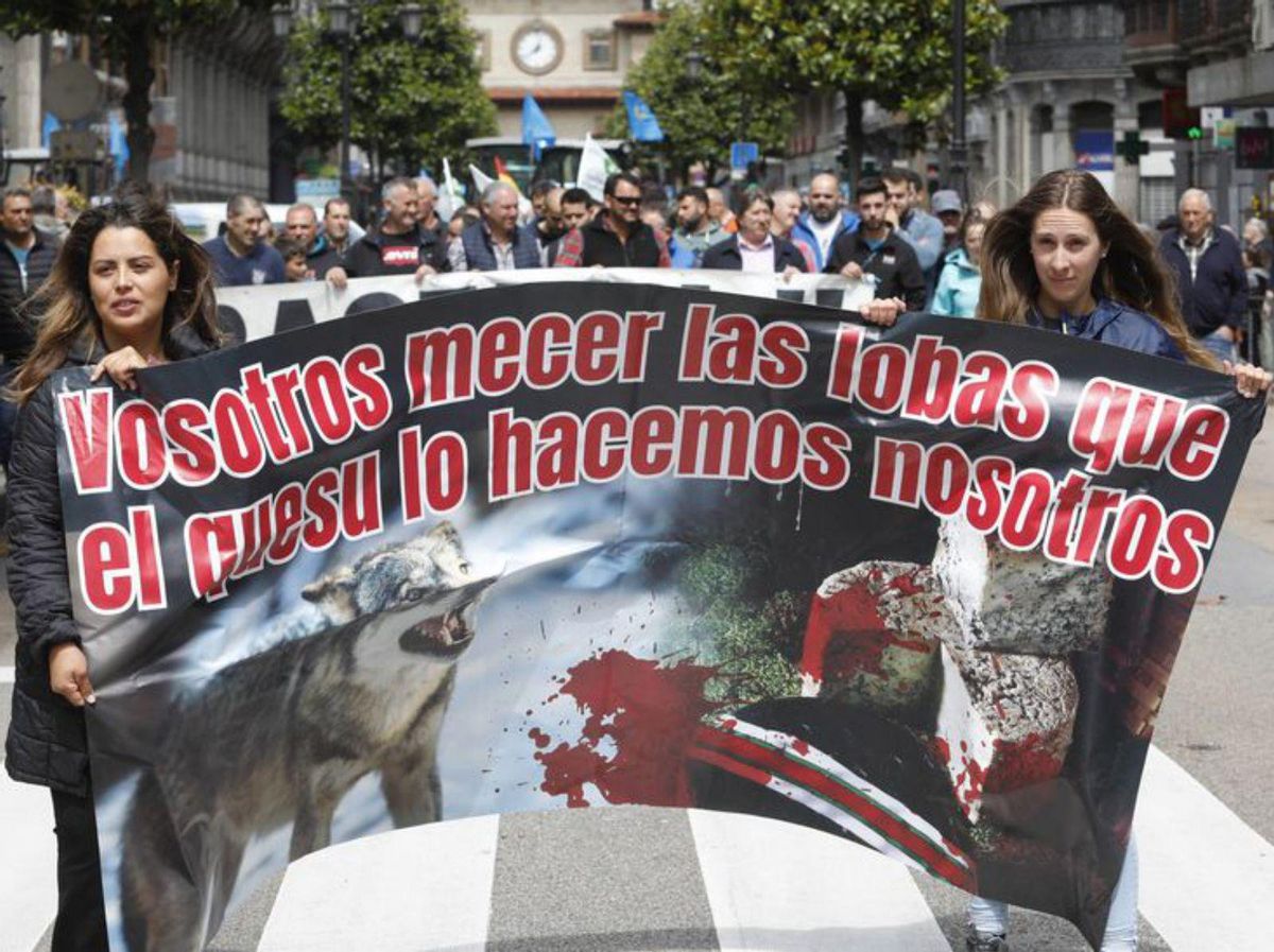 Irene Corujo, Isabel Pruneda, Paloma Camino, Sergio Ocaña y Yoli Villa, en plena protesta. | Luisma Murias