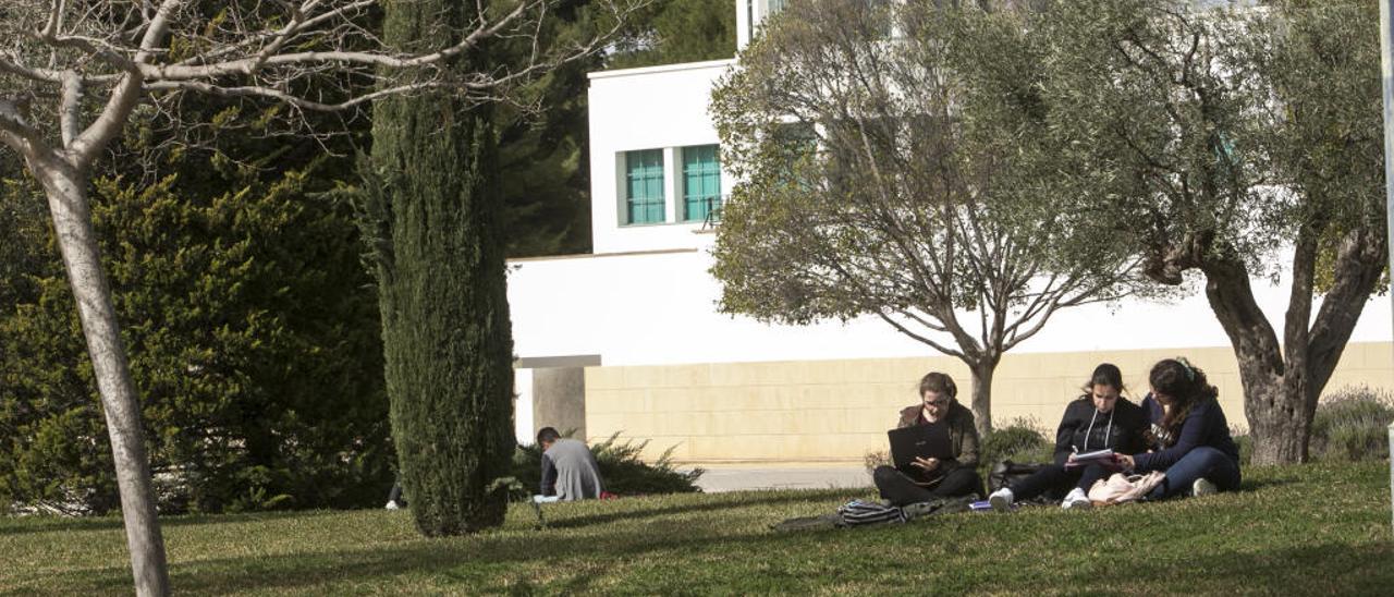 Varios jóvenes descansando sobre el césped en el campus de la Universidad de Alicante.