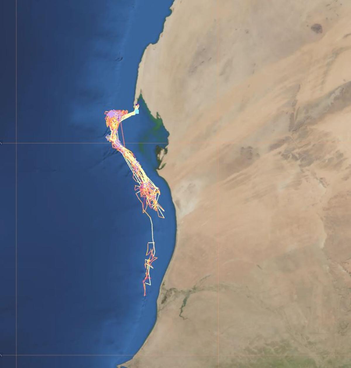 Rastro de la actividad del «Right Whale» desde el mes de junio