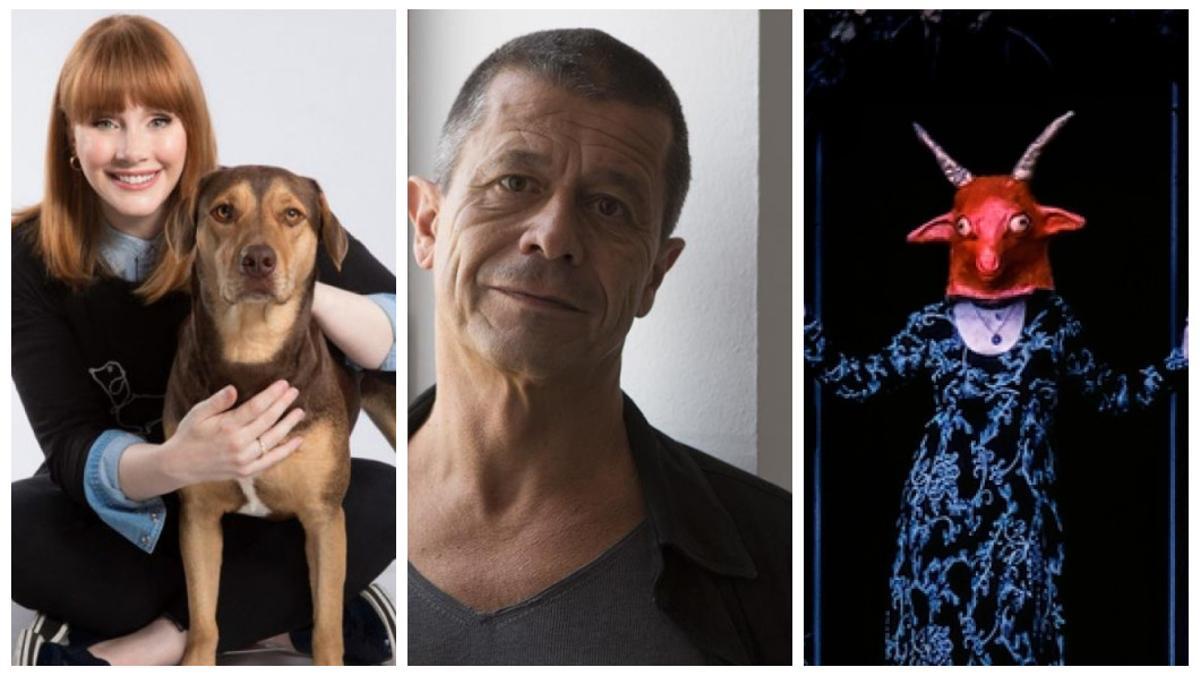 Imágenes de “Pets”, de Bryce Dallas Howard, “Carrère, el escritor y el asesino”, de Camille Juza y “El reino de Satán”, de Scott Cummings.