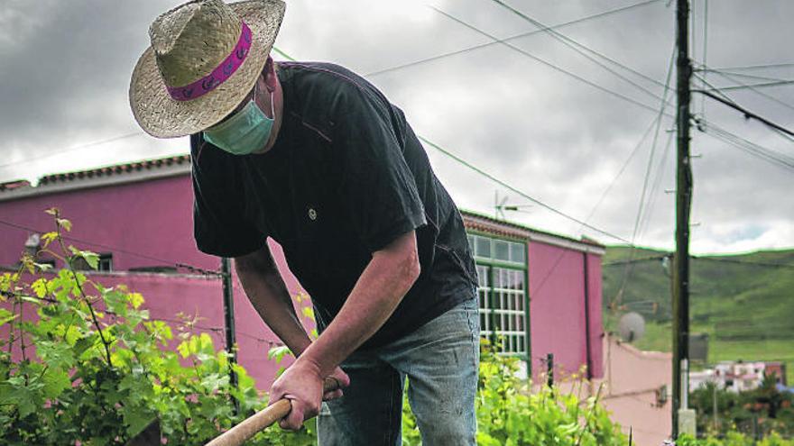 Un agricultor de la zona rural lagunera trabaja el terreno.