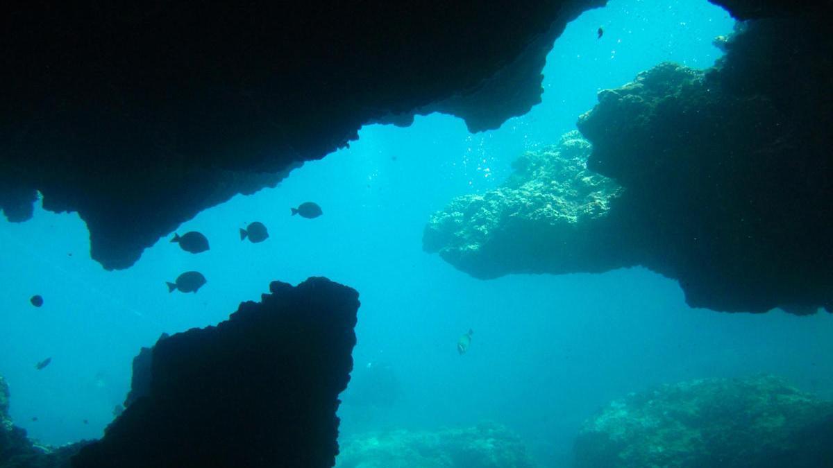 Imagen del fondo marino de Canarias.