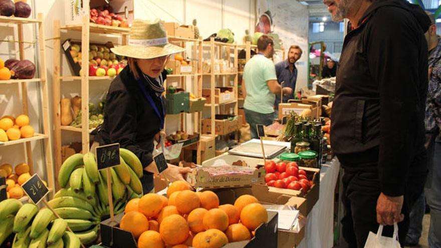 Zona expositiva en Natura Málaga, la feria de vida saludable y sostenible.