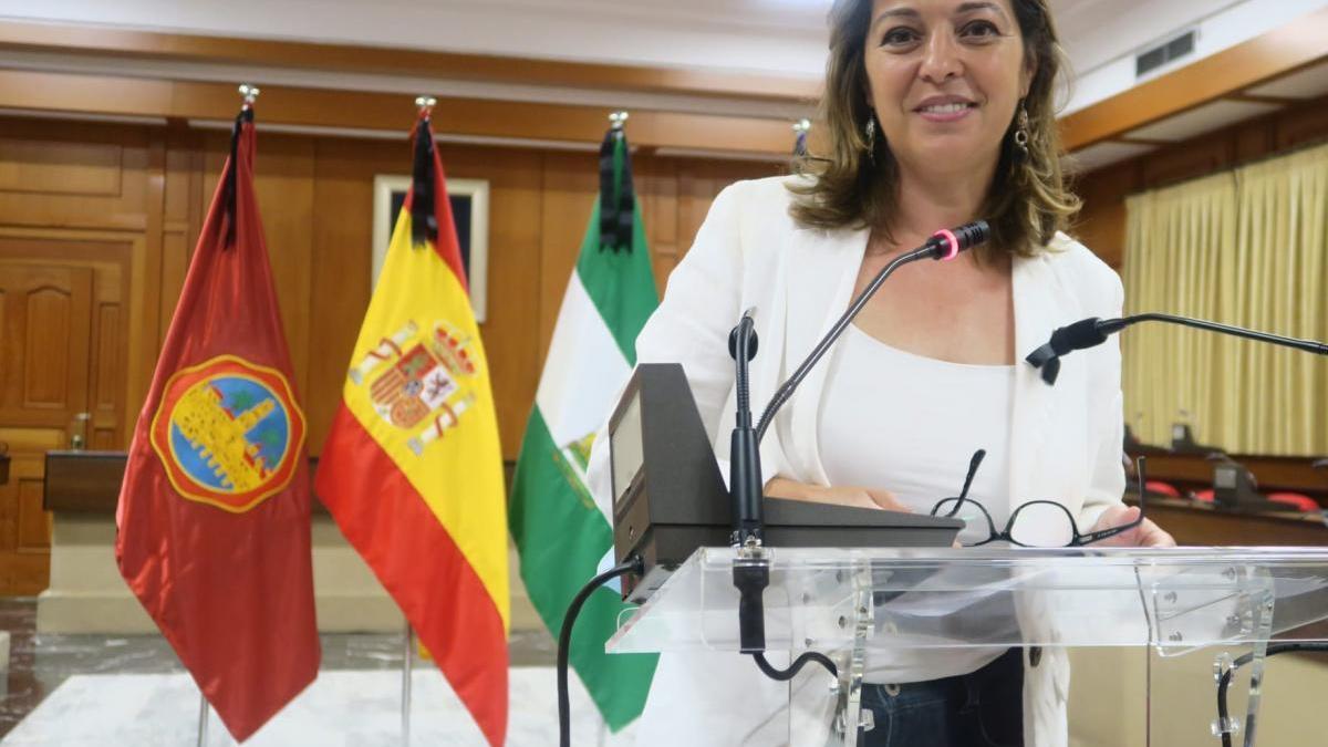 El PSOE exige al alcalde que &quot;abandone el marketing político&quot; y lidere la salida de la crisis