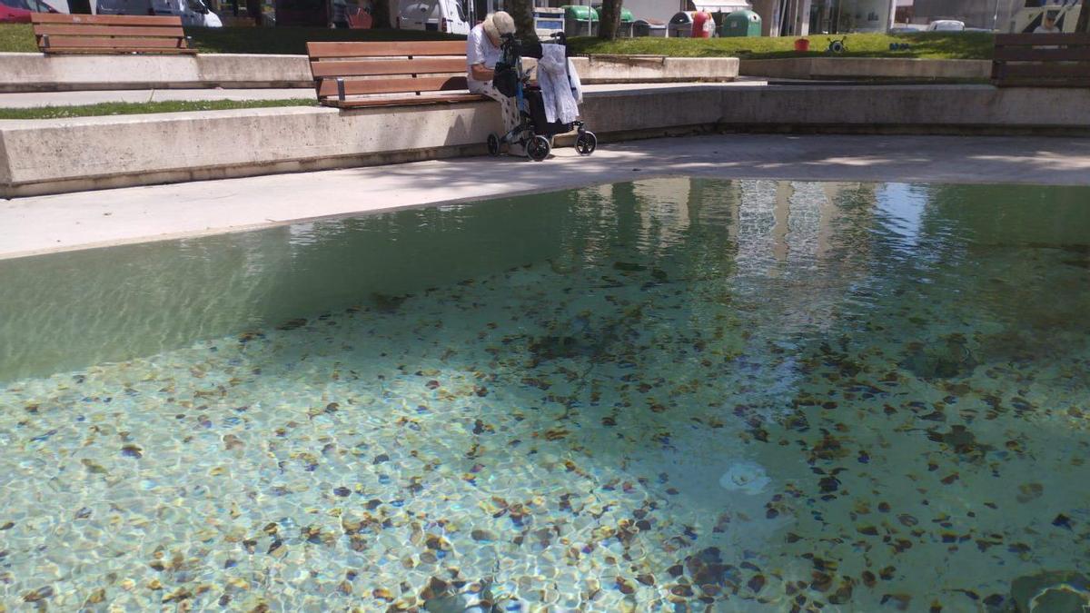 La fuente de los jardines, un foco de suciedad que nunca terminó de convencer. | L.D.