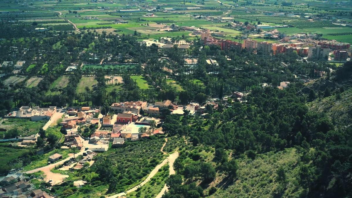 Vista del Palmeral y barrio de San Antón desde el Monte de San Miguel