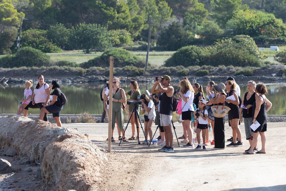 Galería: Así es una visita guiada al Parc Natural de ses Salines