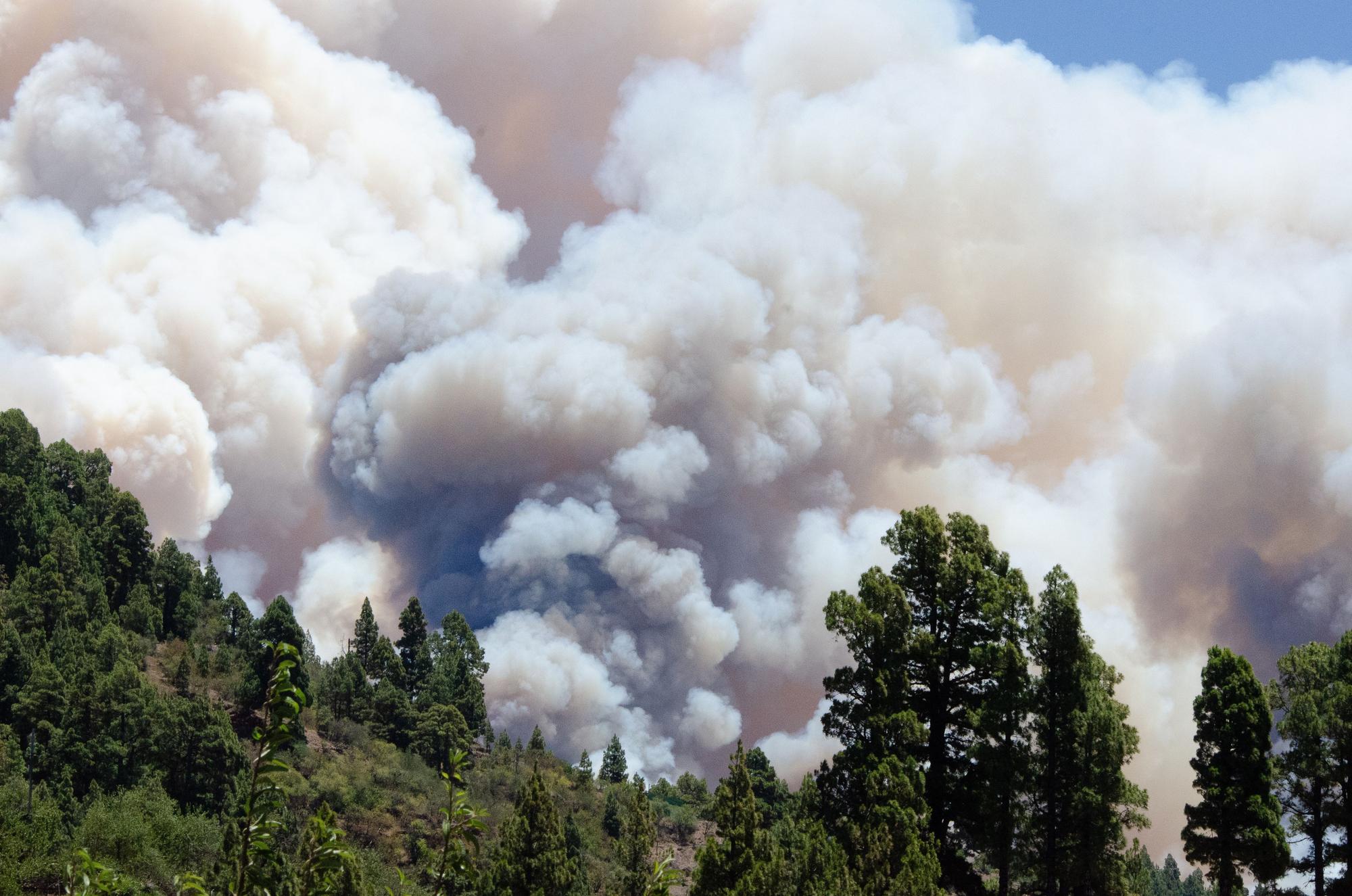 El incendio forestal de La Palma continúa sin control