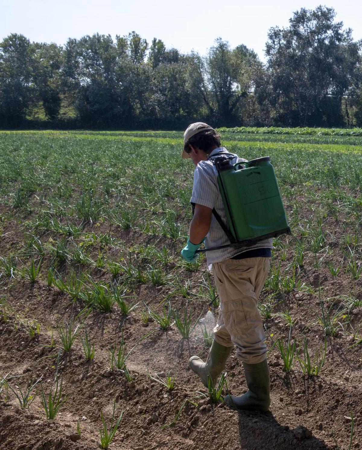 Només un 30% de la terra que cultiven els agricultors catalans és propietat seva Només un 30% de la terra que cultiven els agricultors catalans és propietat seva