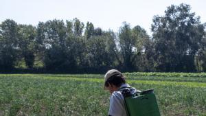 Només un 30% de la terra que cultiven els agricultors catalans és propietat seva