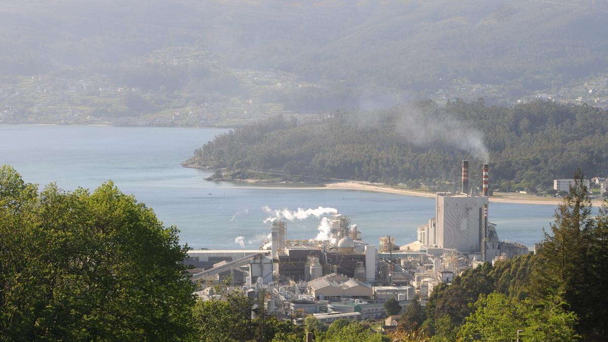 Una vista de Ence en la ría de Pontevedra