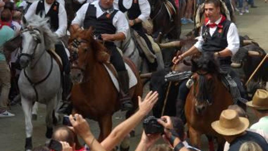 Segorbe sigue sin comisión de toros para la entrada