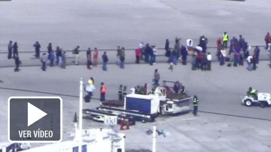 Cinco muertos en el ataque al aeropuerto de Florida