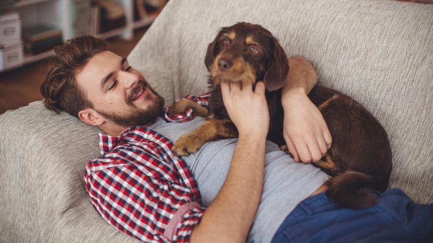 Perros y humanos compartimos una conexión especial